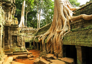 Ta Phrom Temple